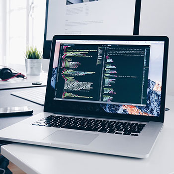 彩色多肉漫画,多肉植物漫画中的奇幻世界